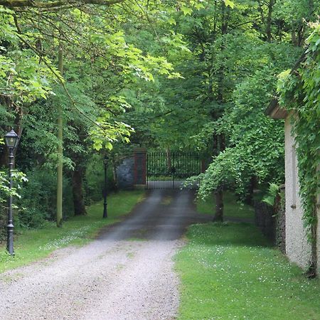 Millvale Cottage Cootehill Eksteriør bilde